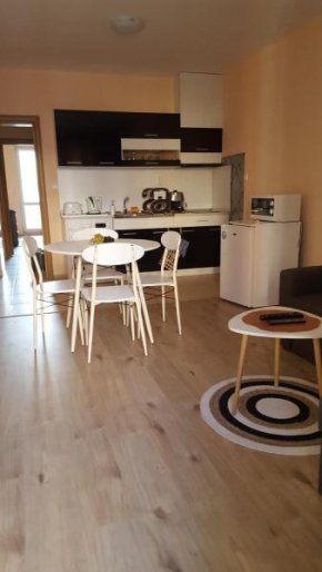Apartment Black sea